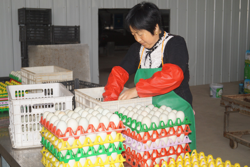 車(chē)間(jiān)一(yī)角